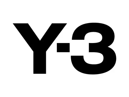 3Y
