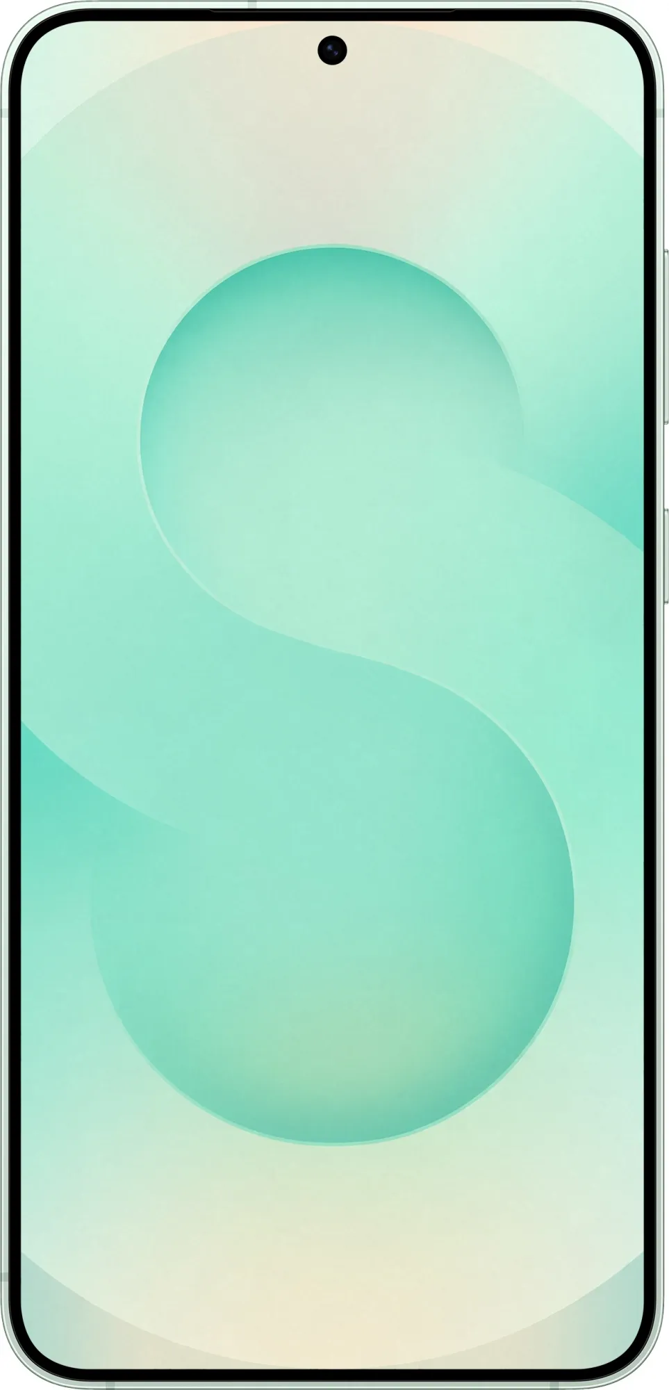Смартфон Samsung SM-S936B Galaxy S25+ 512Gb 12Gb мятный моноблок 3G 4G 2Sim 6.7" 1440x3120 Android 15 50Mpix 802.11 a/b/g/n/ac/ax/be NFC GPS GSM900/1800 GSM1900 Protect
