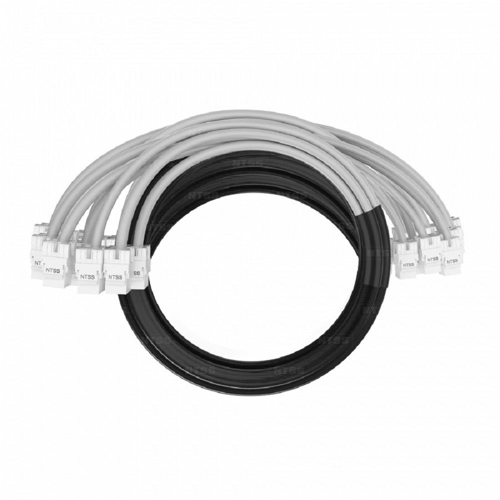 NTSS Кабельная сборка NTSS PREMIUM 12pc, UTP CAT6, оконцована разъемами KEYSTONE RJ45 UTP CAT6, заделка в чулке, вывод 0.6м, длина 25м, LSZH, серый NTSS-PC-PM-12-UTP-RJ45KJ-6-S-0.6-25.0-LSZH-GY