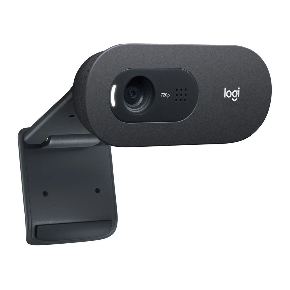 Камера Web Logitech HD Webcam C505e черный 1.2Mpix (1280x720) USB2.0 с микрофоном для ноутбука (960-001373)