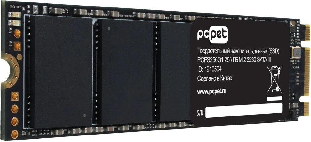 SSD PC Pet 256GB PCPS256G1 M.2 2280 (1910504)