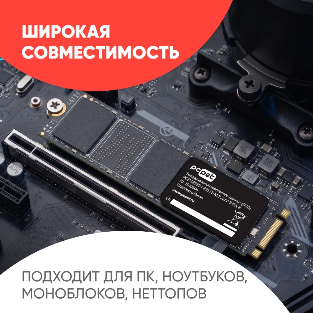 SSD PC Pet 256GB PCPS256G1 M.2 2280 (1910504)
