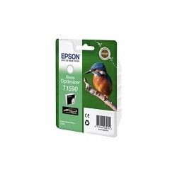 EPSON C13T15904010 Картридж T1590 для Stylus Photo R2000 (gloss) (cons ink)