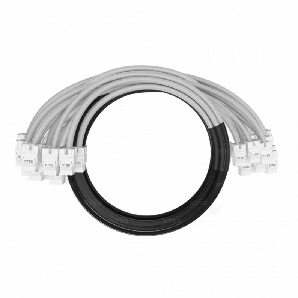 NTSS Кабельная сборка NTSS PREMIUM 24pc, UTP CAT5e, оконцована разъемами KEYSTONE RJ45 UTP CAT5e, заделка в чулке, вывод 0.6м, длина 2м, LSZH, серый NTSS-PC-PM-24-UTP-RJ45KJ-5e-S-0.6-2.0-LSZH-GY