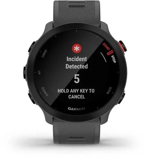Смарт-часы Garmin Forerunner 55 42мм 1.04" LCD корп.серый рем.серый разм.брасл.:127-220мм (010-02562-13)