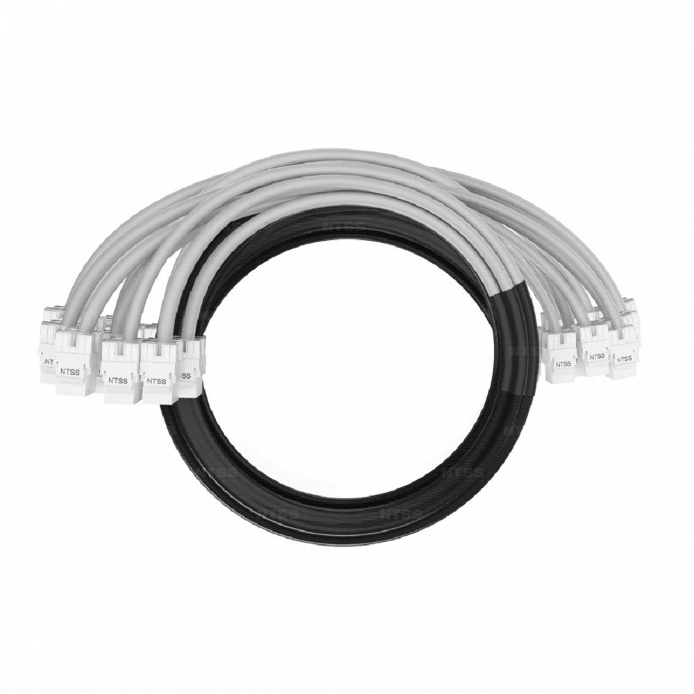 NTSS Кабельная сборка NTSS PREMIUM 12pc, UTP CAT5e, оконцована разъемами KEYSTONE RJ45 UTP CAT5e, заделка в чулке, вывод 0.6м, длина 13м, LSZH, серый NTSS-PC-PM-12-UTP-RJ45KJ-5e-S-0.6-13.0-LSZH-GY