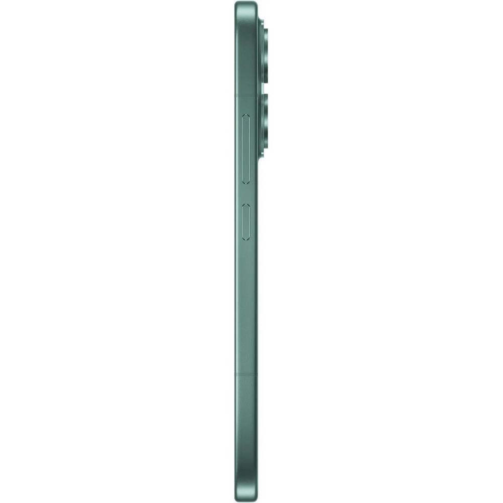 Смартфон Xiaomi 17 RU 12+256 зелёный (MZB0MSLRU)