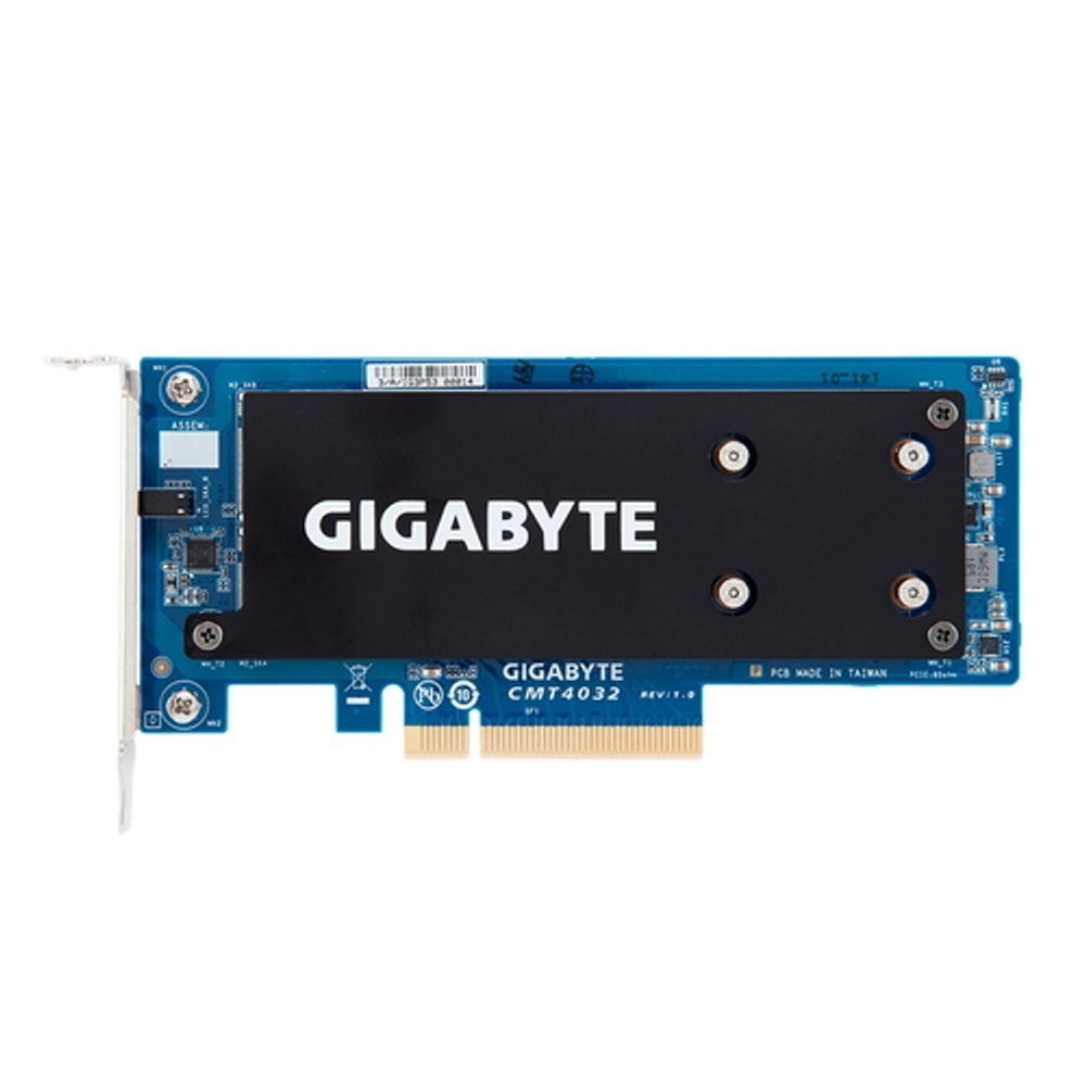 Контроллер Gigabyte CMT4032 Supports up to 2 x PCIe Gen3 x4 M.2 SSD drives, Type 2280/22110 support, LP OEM