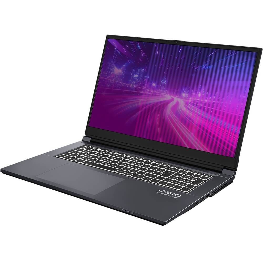 Ноутбук CyberLine C170i-002 17.3"(1920*1080 IPS (матовый, 144Hz) )/Intel Core i5 12600H(2.7Ghz)/16384Mb/512PCISSDGb/noDVD/Ext:nVidia GeForce RTX4050(6144Mb)/Cam/BT/WiFi/52.6WHr/war 1y/2.4kg/Space Gray/noOS + не МПТ