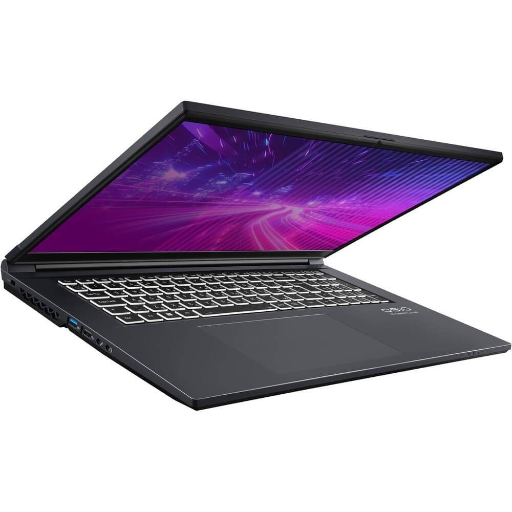 Ноутбук CyberLine C170i-002 17.3"(1920*1080 IPS (матовый, 144Hz) )/Intel Core i5 12600H(2.7Ghz)/16384Mb/512PCISSDGb/noDVD/Ext:nVidia GeForce RTX4050(6144Mb)/Cam/BT/WiFi/52.6WHr/war 1y/2.4kg/Space Gray/noOS + не МПТ